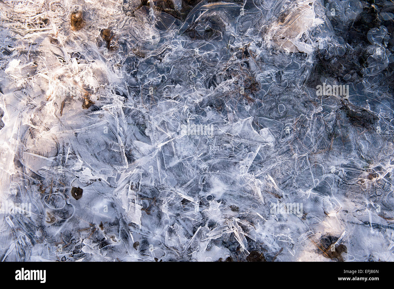 La formazione di ghiaccio sulle rive di Loch Awe in inverno. Argyll and Bute, Scozia. Foto Stock