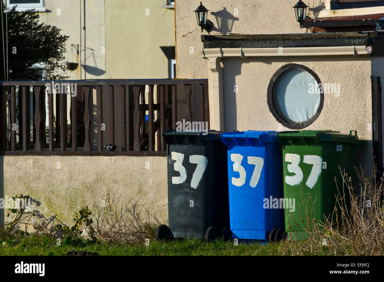 Blu verde nero scomparti wheelie Foto Stock