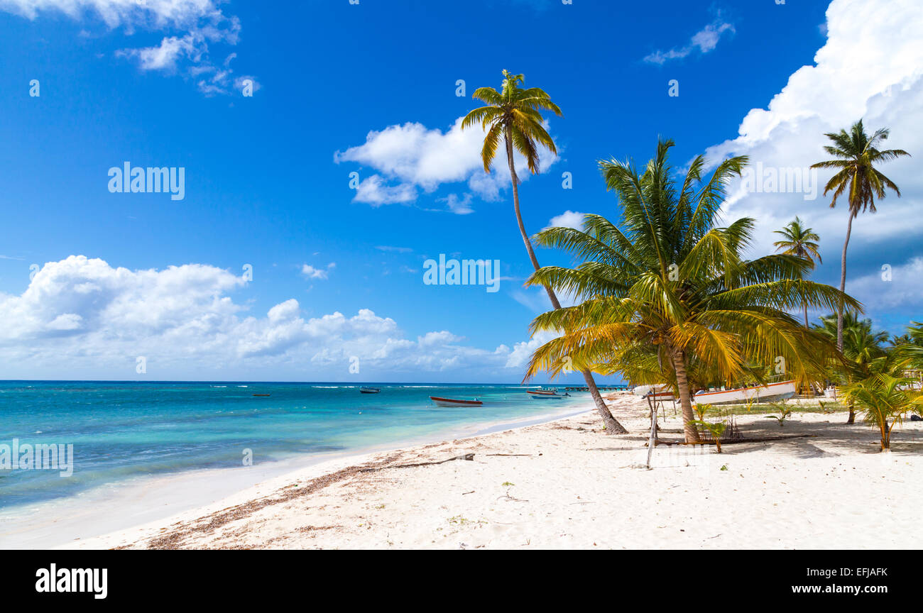 Spiaggia di Saona Repubblica Dominicana. Foto Stock