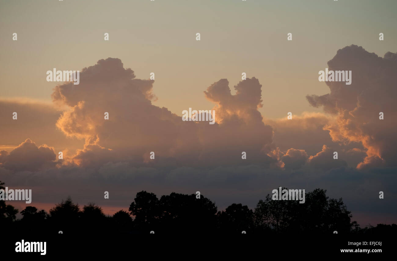 Sun insieme con le nubi che mimano gli alberi all'orizzonte Foto Stock