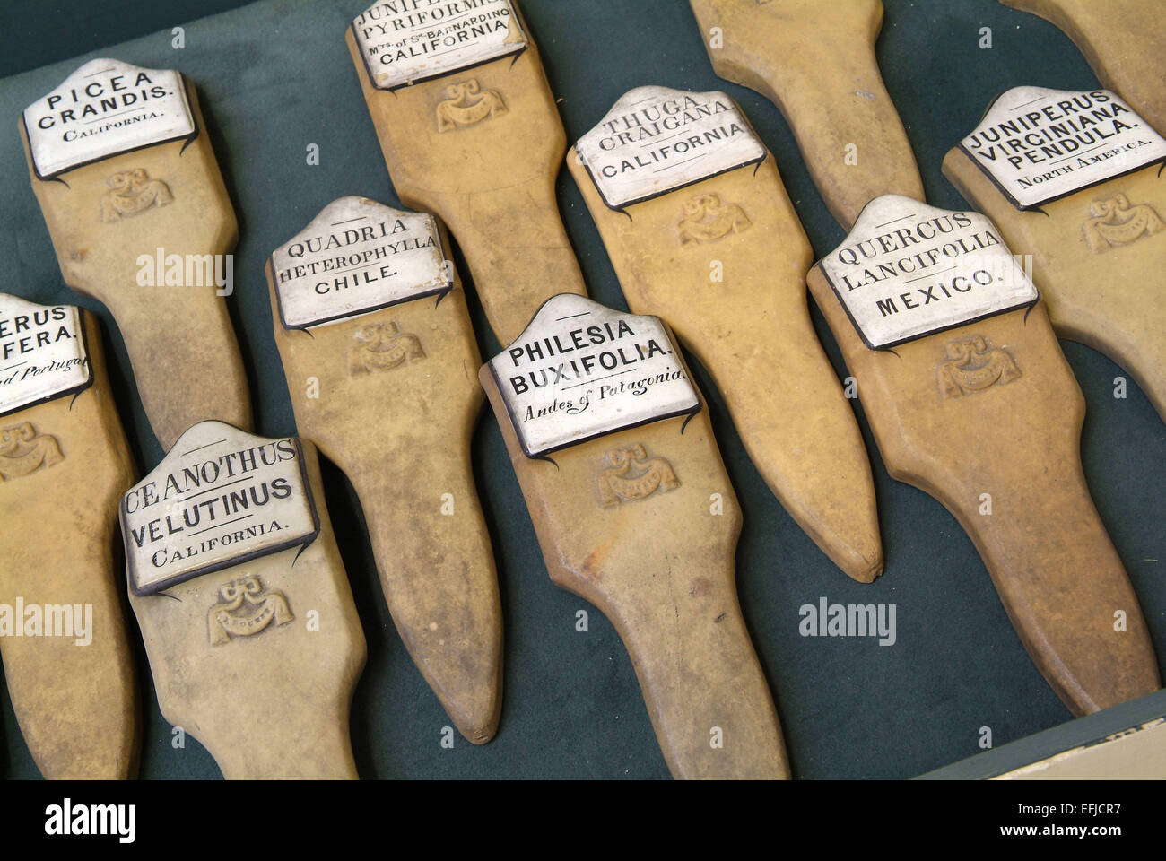 Museo Nazionale di giardinaggio, Trevarno Estate, Cornwall, Regno Unito Foto Stock