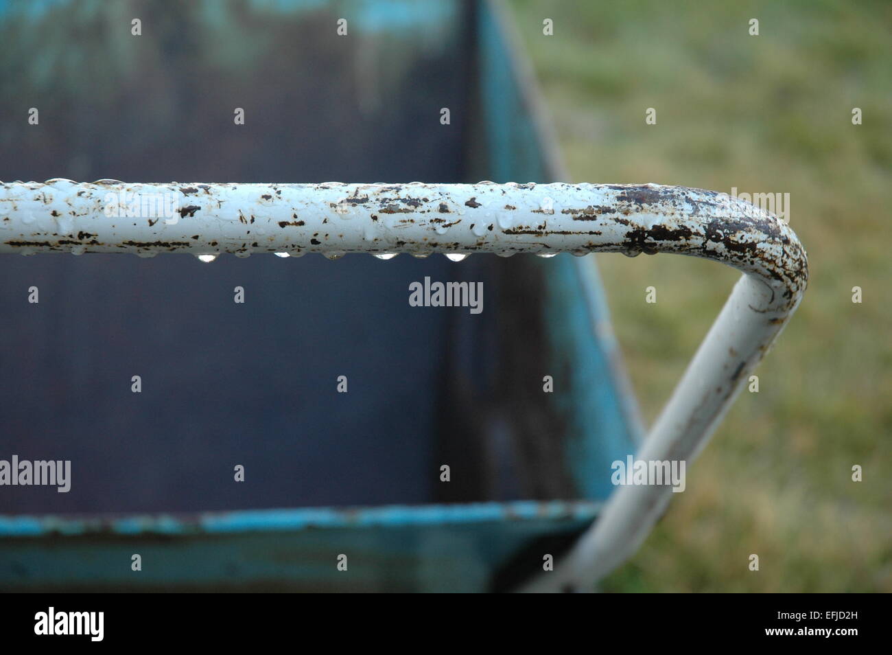 Gocce di pioggia su un giardino Carrello maniglia. Foto Stock