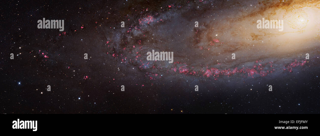 M31 Galassia di Andromeda mosaico. Questo mosaico copre 1/3 della stella formando il disco della galassia di Andromeda e risolve completamente 117 mill Foto Stock