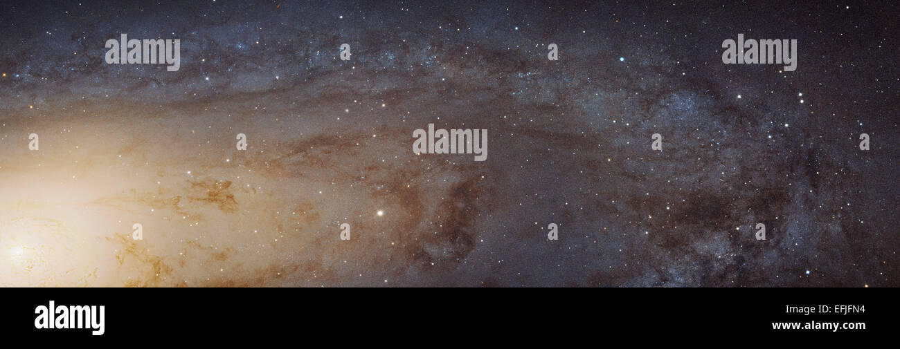 M31 Galassia di Andromeda mosaico. Questo mosaico copre 1/3 della stella formando il disco della galassia di Andromeda e risolve completamente 117 mill Foto Stock