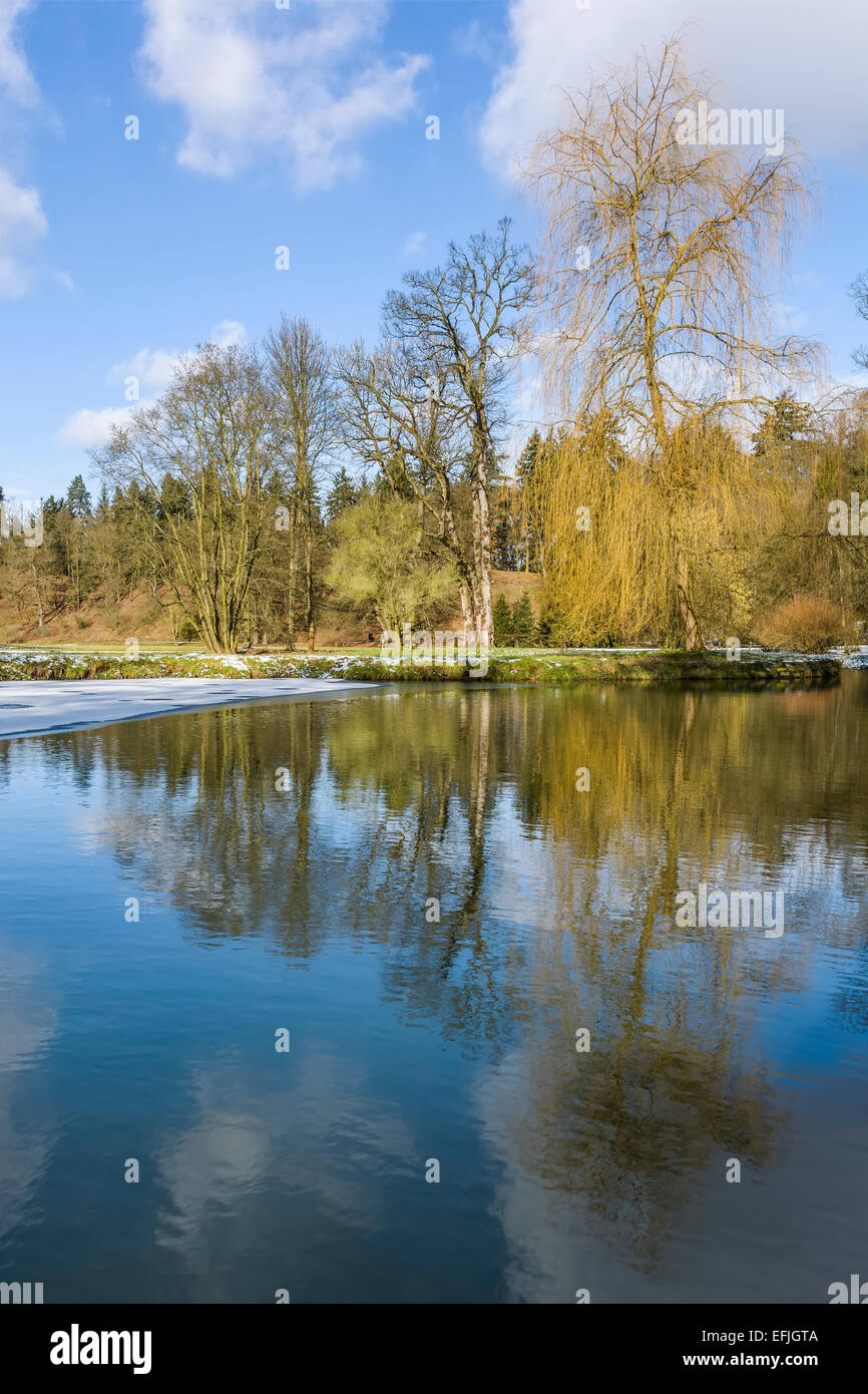 Praga, Pruhonice - chateau park willow vista d'inverno. Chateau Pruhonice è il più rinomato luogo turistico con dendrologico Foto Stock