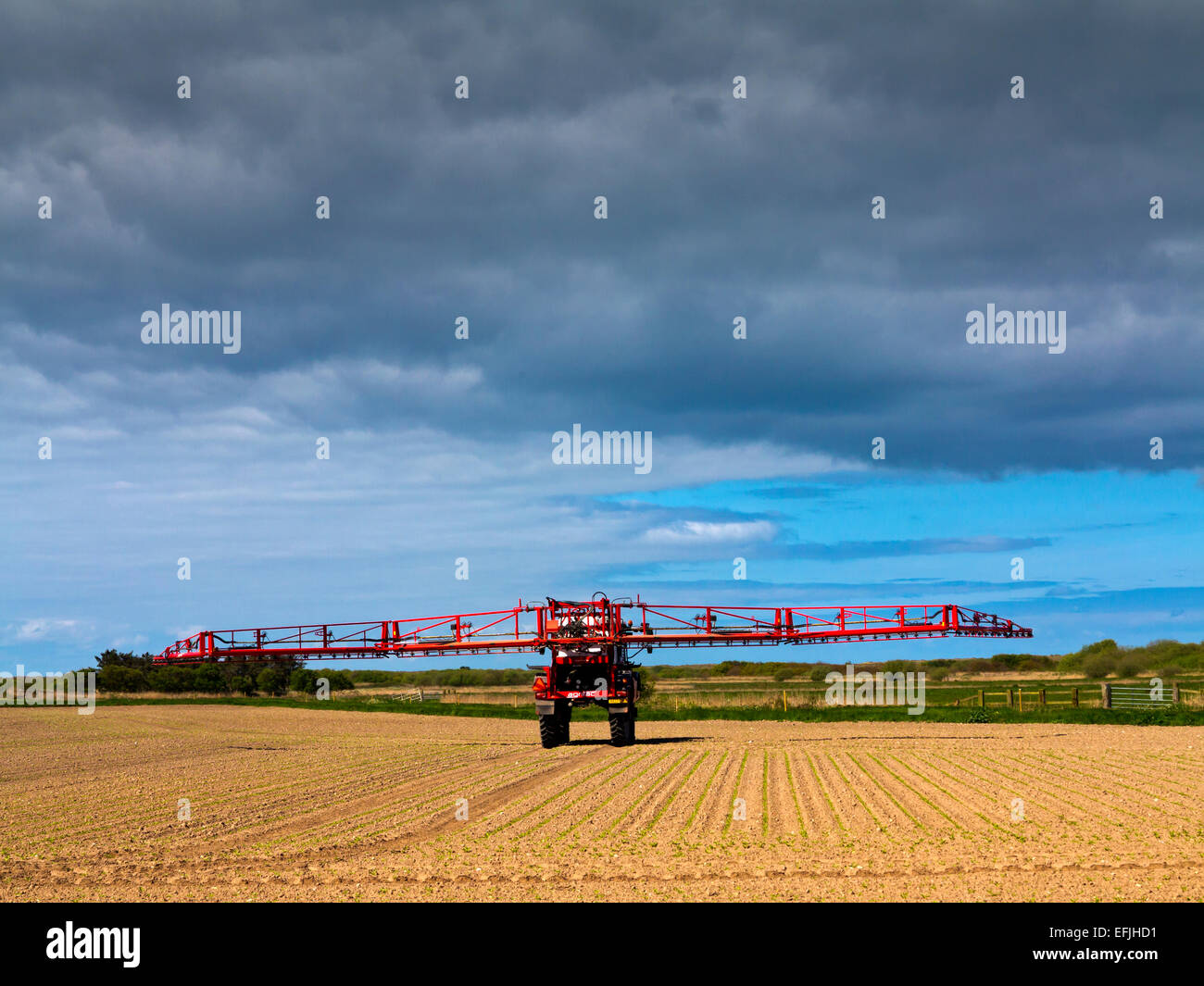 Agrifac Irroratrice raccolto lavorando su un campo in NORFOLK REGNO UNITO Inghilterra nel maggio dopo che i semi sono stati seminati nel suolo Foto Stock