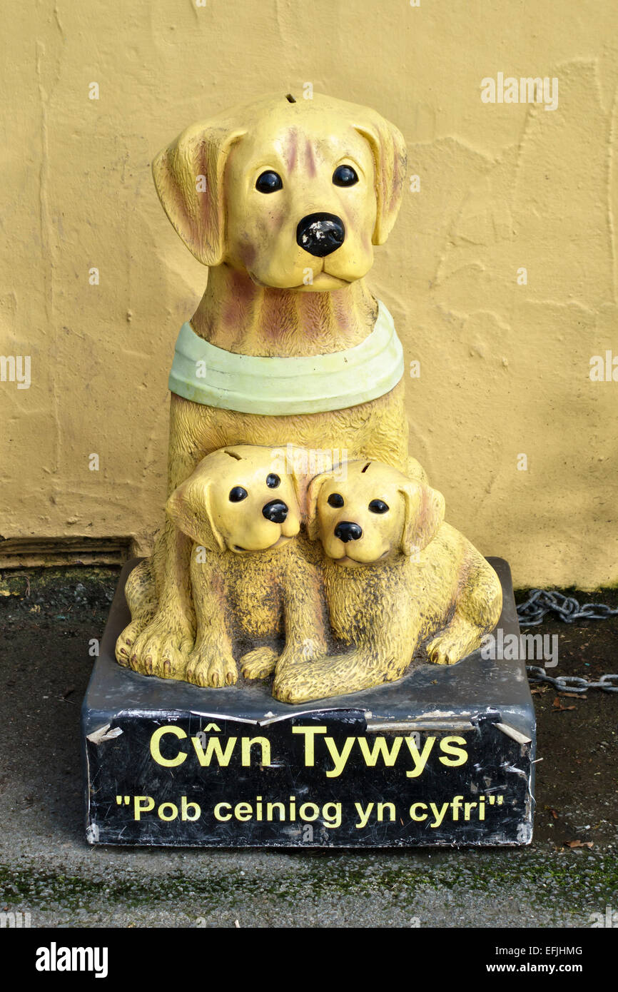 Una scatola da raccolta a forma di cane per Cwn Tywys Gwynedd, un gruppo di raccolta fondi per la Guide Dogs Association nel Galles del nord, Regno Unito Foto Stock