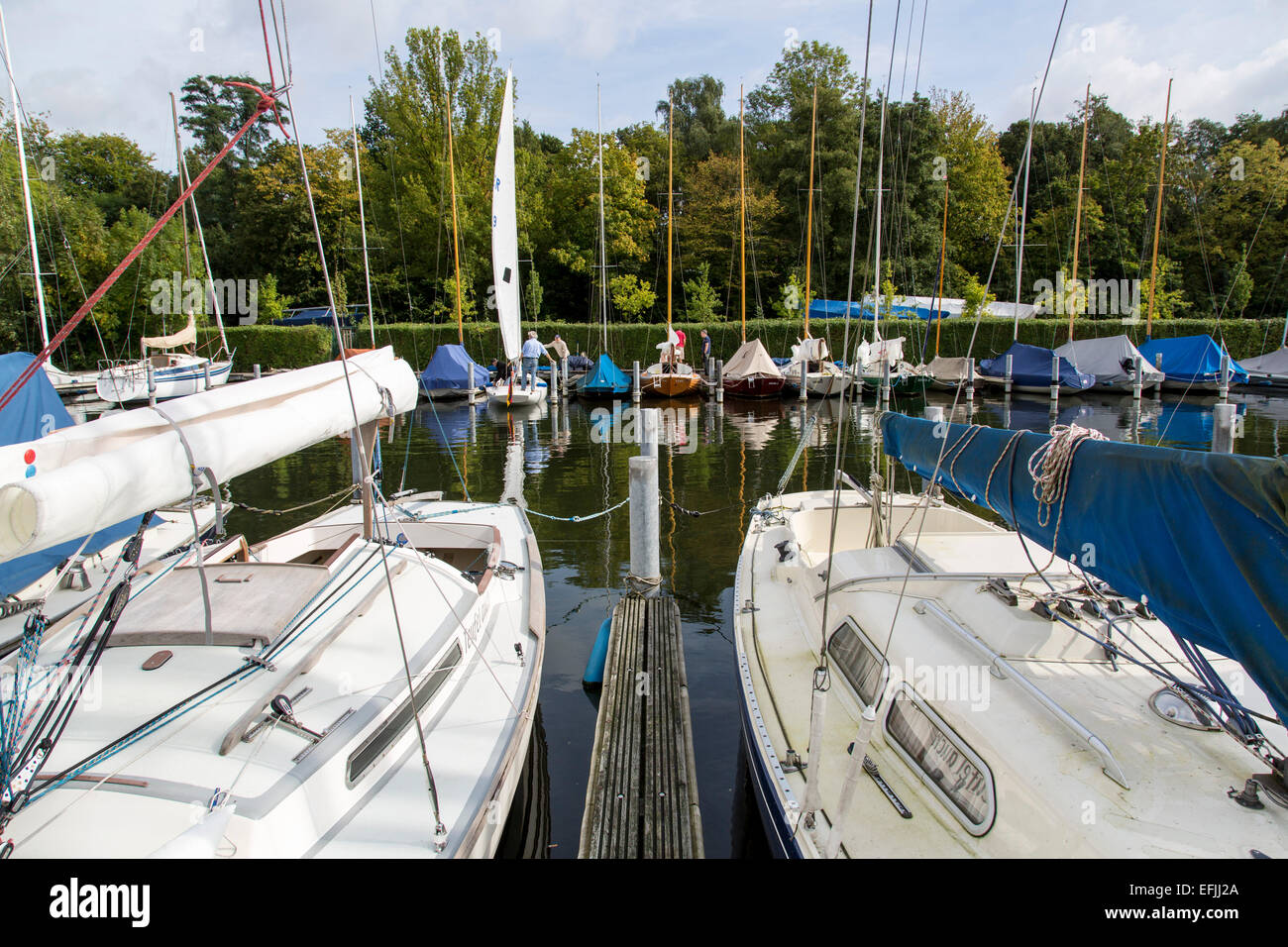 Barche a vela su 'Lago Baldeneysee' lago, fiume Ruhr, regata, barca a vela gara, Essen, Germania, sailing club, Foto Stock