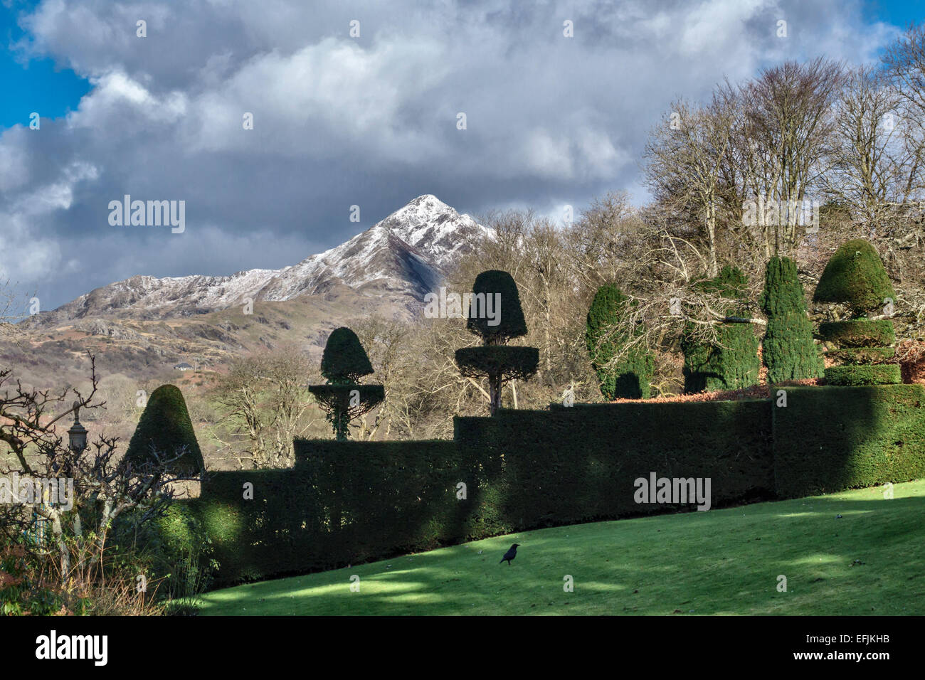 La vetta innevata del Cnicht a Snowdonia, Galles, vista dai giardini topiari formali di Plas Brondanw, progettato da Clough Williams-Ellis a partire dal 1902 Foto Stock