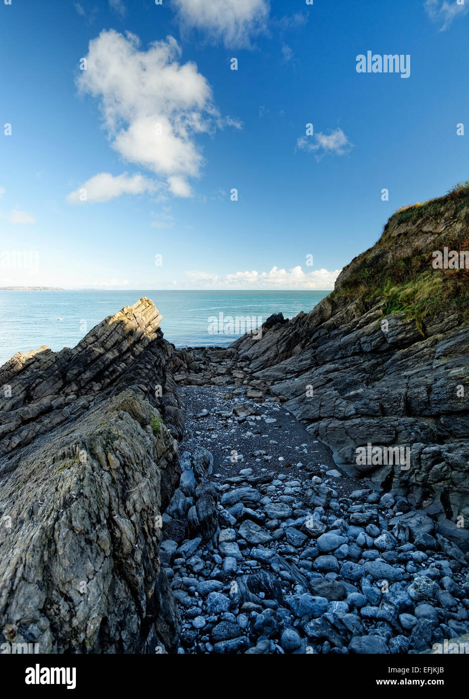 Vista da Stackpole Quay, Pembrokeshire, il Galles che mostra strati di roccia sul promontorio opposti Foto Stock