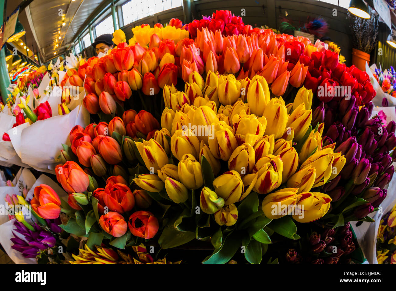 Tulipani colorati e altri fiori recisi in vendita nel mercato di Pike Place in primavera, Seattle, nello Stato di Washington, Stati Uniti d'America [nota: nessun prop Foto Stock