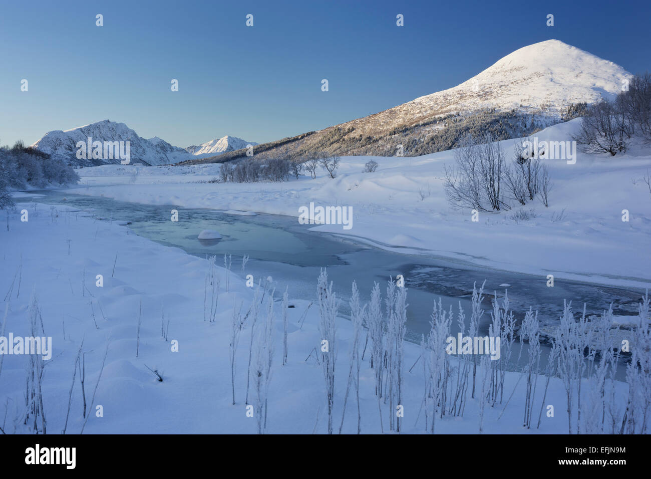 Paesaggio Di Inverno vicino a Leknes, fiume Lakselva, Holandsmelen montagna, Vestvagoya, Lofoten, Nordland, Norvegia Foto Stock