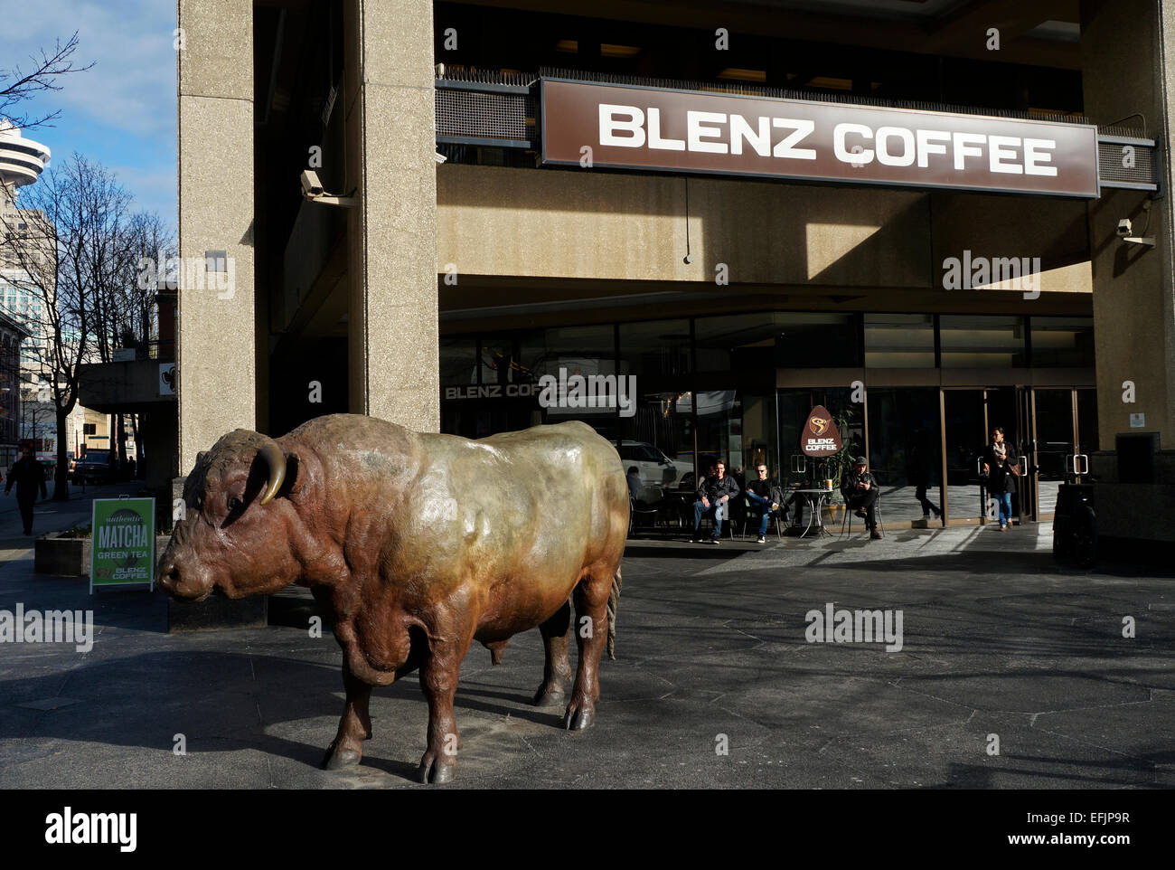 Bronzo dolce Royal Diamond bull scultura di Joe Fafard fuori Blenz Coffee shop su West Georgia, Vancouver, BC, Canada Foto Stock