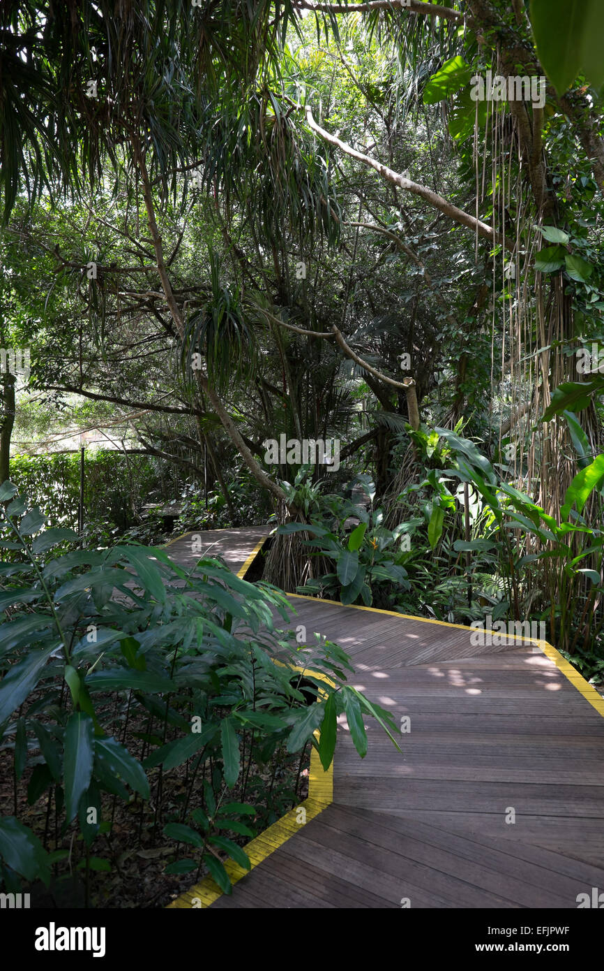 Singapore Botanic Gardens. Foto Stock