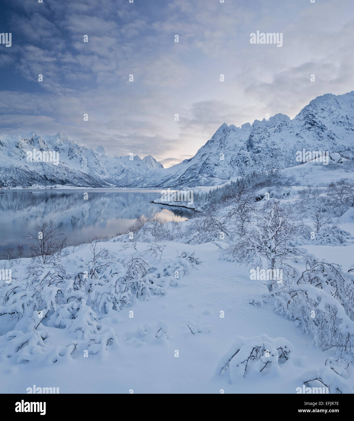 Snowy verticale vicino Sildpollneset, Vestpollen, Rorhoptindan, Austnesfjorden, Austvagoya, Lofoten, Nordland, Norvegia Foto Stock