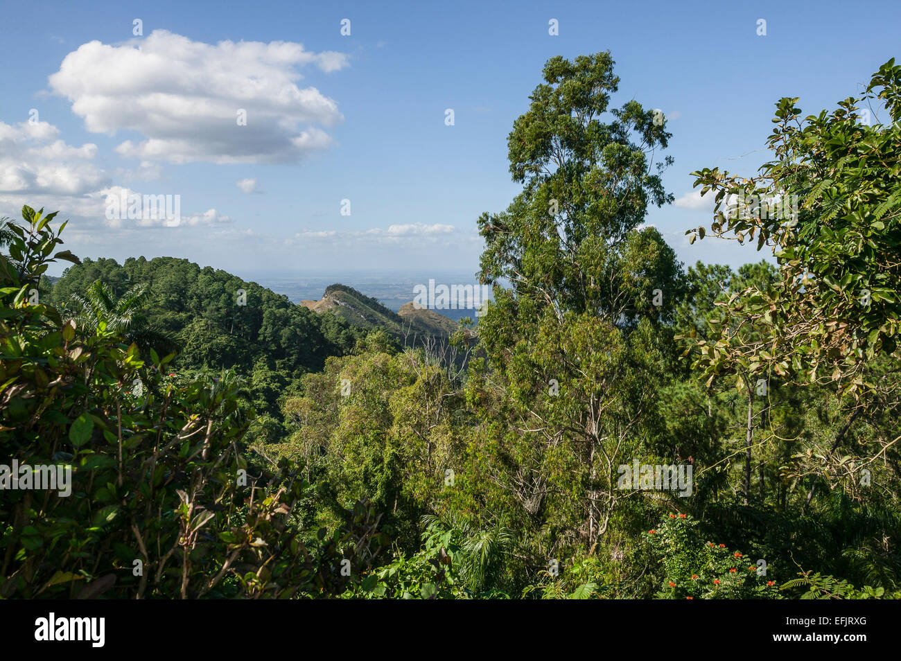 Vista dalla Sierra del Escambray montagne, Cienfuegos province, Cuba. Foto Stock