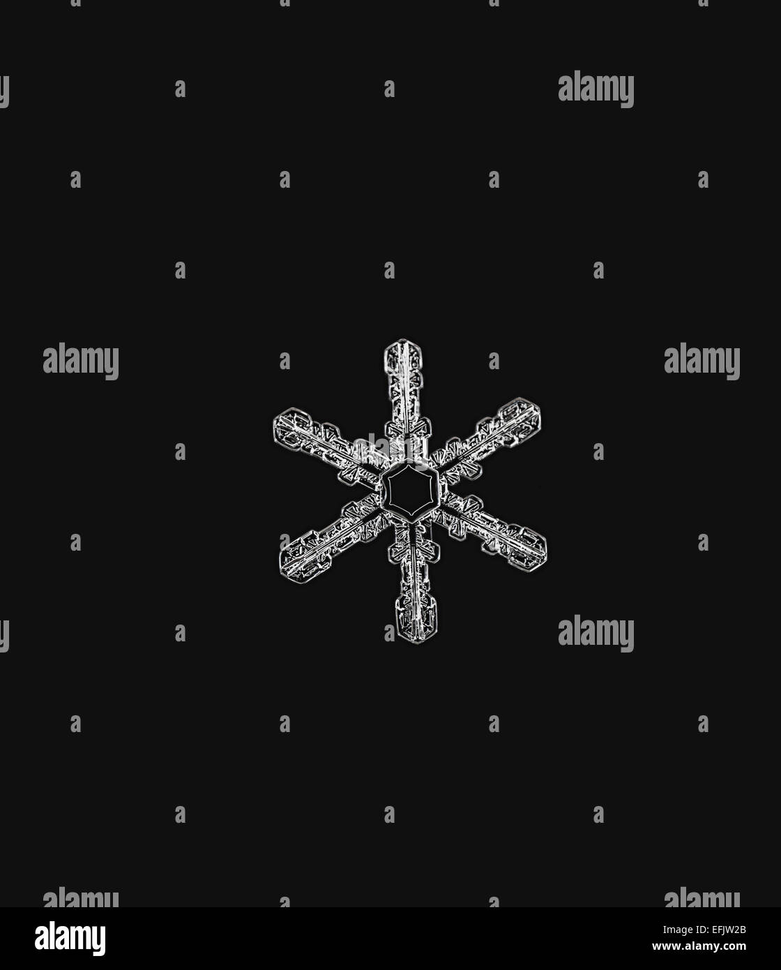 Il simbolo del fiocco di neve macro,fiocco di neve macro Foto Stock