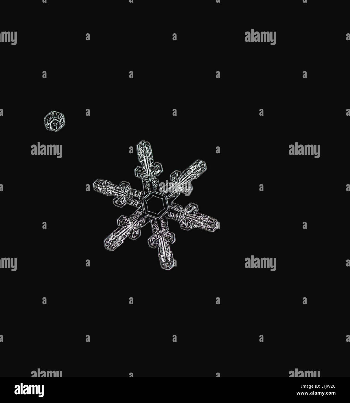 Il simbolo del fiocco di neve macro,fiocco di neve macro Foto Stock