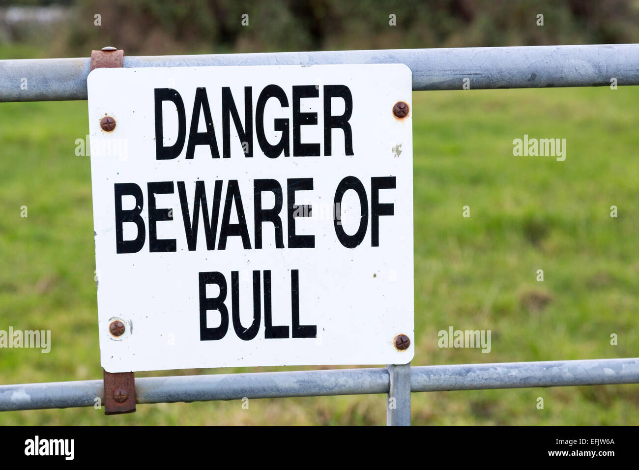 Pericolo attenzione al segno di Bull in fattoria, Burren, County Clare, Irlanda Foto Stock