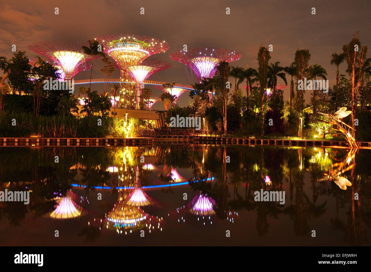 La riflessione di Super alberi del giardino dalla baia, Singapore Foto Stock