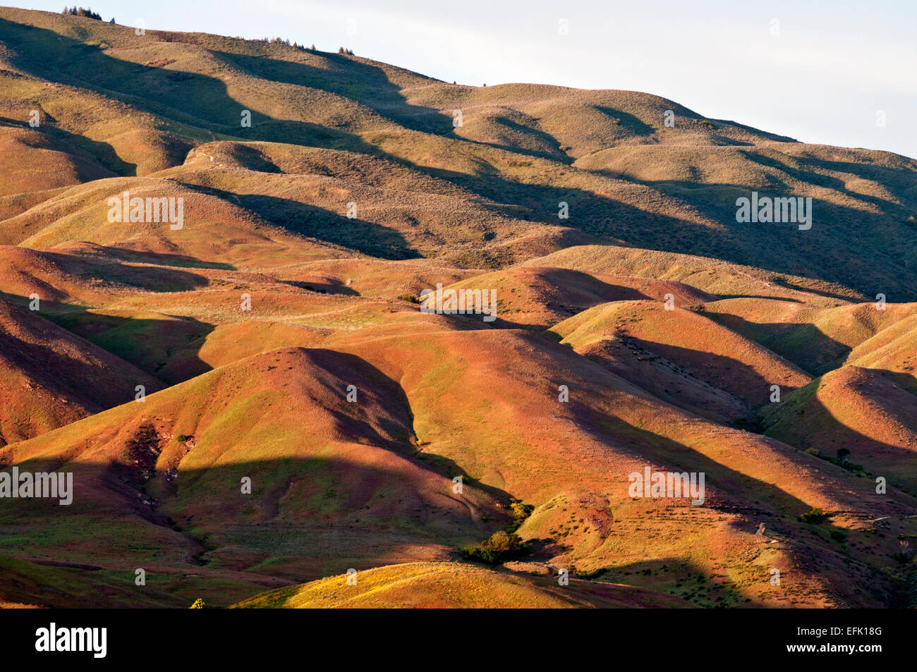 Colline sopra Boise Idaho Foto Stock