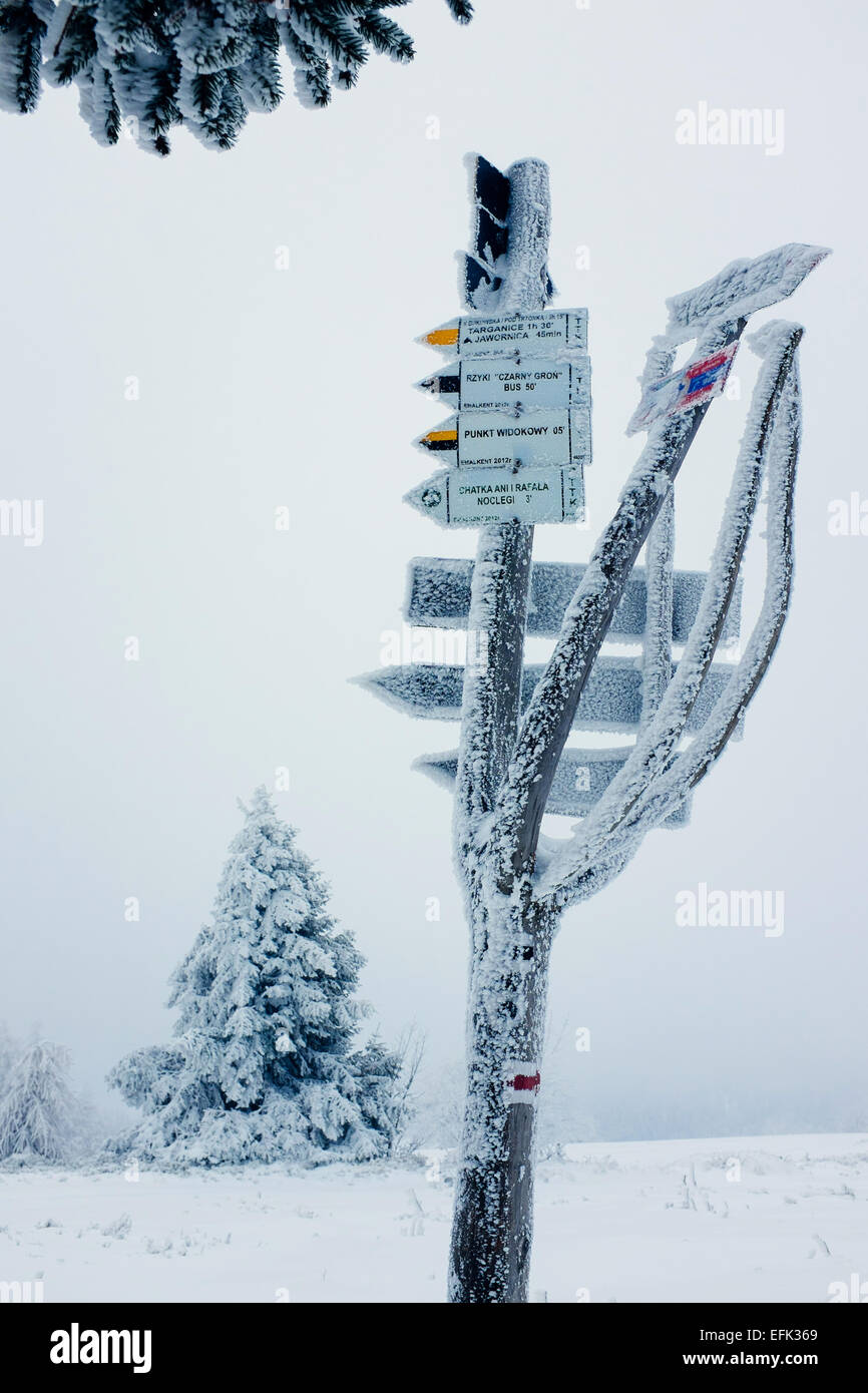 Sentiero escursionistico segni coperti in trasformata per forte gradiente frost, Beskidy mountains, Polonia Foto Stock