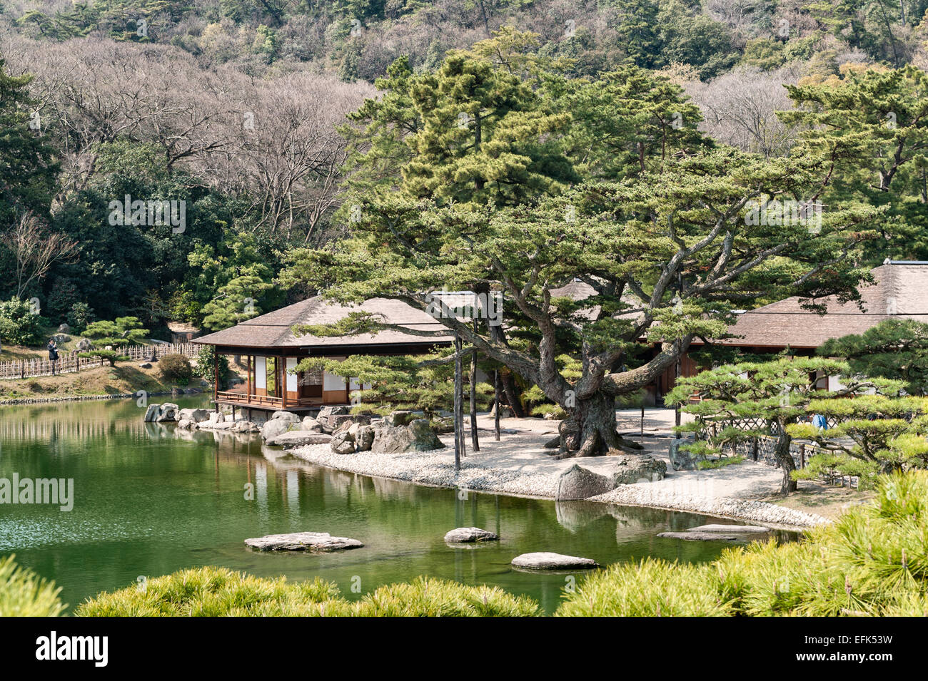 Ritsurin-koen giardino, Takamatsu, Giappone.una vista del Kikugetsu-tei tea house con la sua antica pino cresciuto da una 19c bonsai Foto Stock