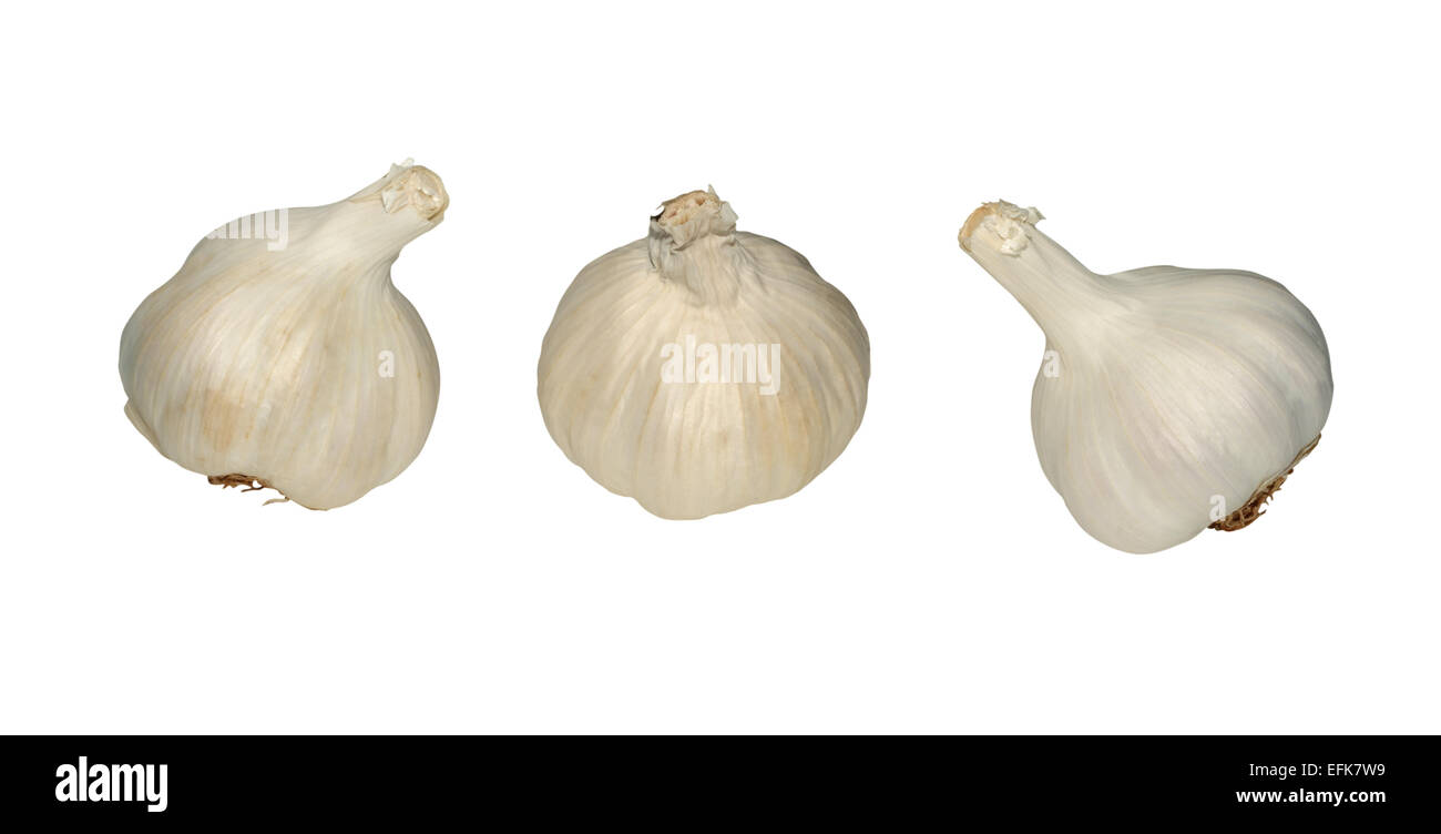 Tre lampadine d'aglio,ciascuna mostrata da una diversa angolazione, su sfondo bianco Foto Stock