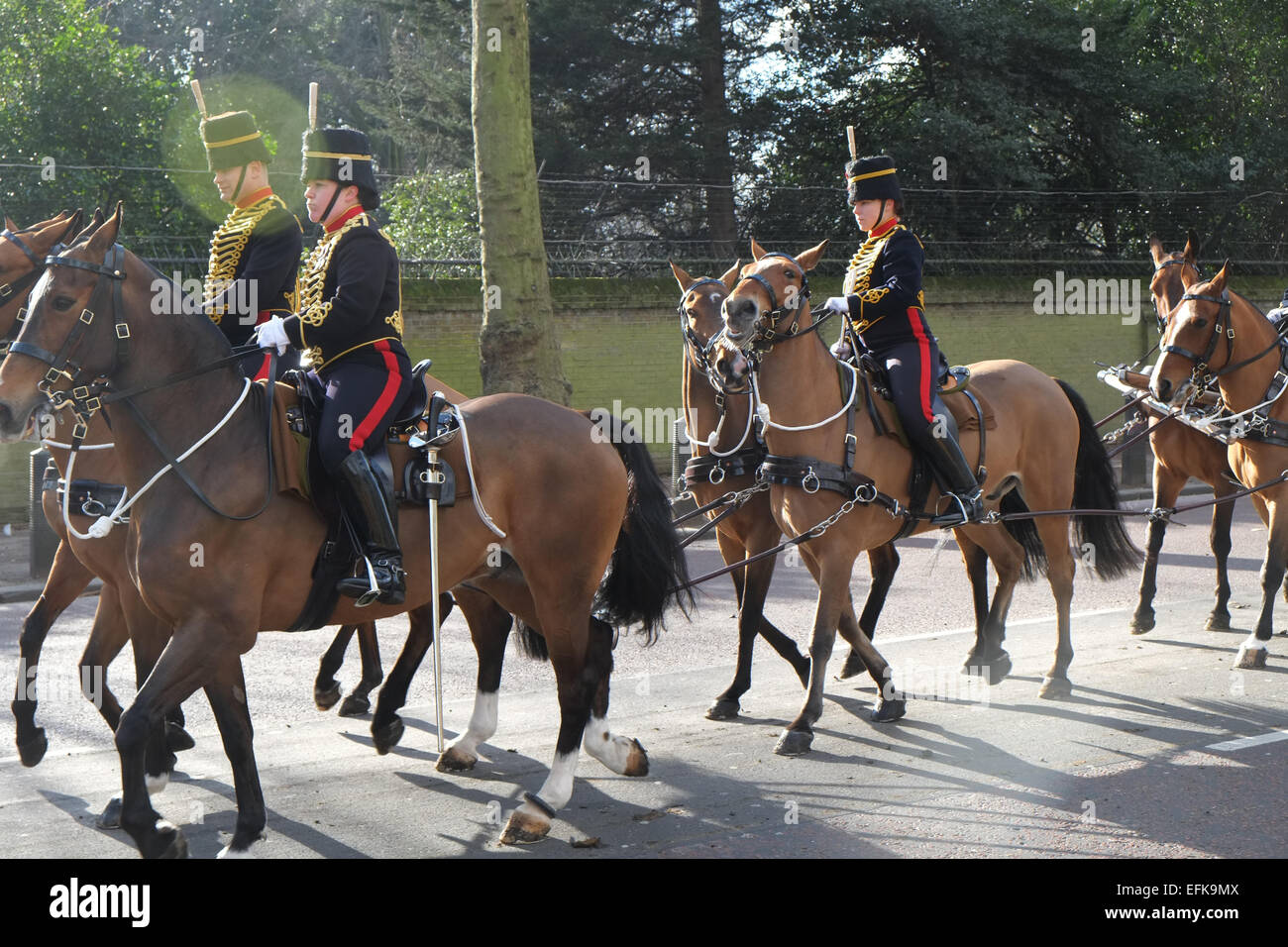 Green Park, London, Regno Unito. Il 6 febbraio 2015. Il nastro in uscita parco verde di voce torna alla caserma di Wellington. . Una pistola 41 Salute prende luogo nel parco verde dal re della truppa cavallo Royal Artillery per contrassegnare la regina Elisabetta il giorno di adesione nel 1952. Credito: Matteo Chattle/Alamy Live News Foto Stock