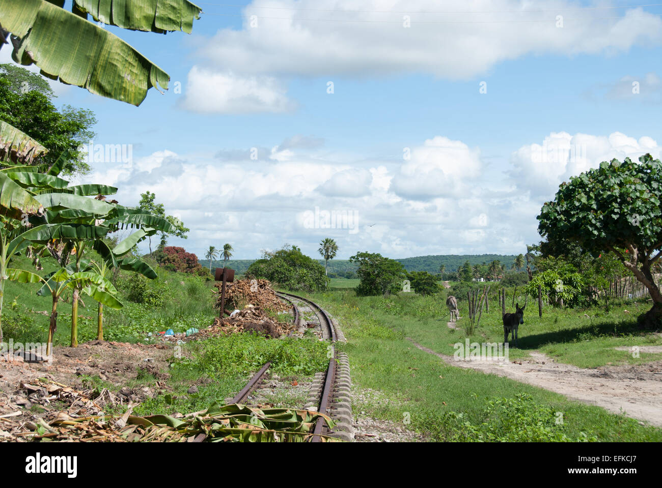 La tranquillità della campagna brasiliana... Foto Stock