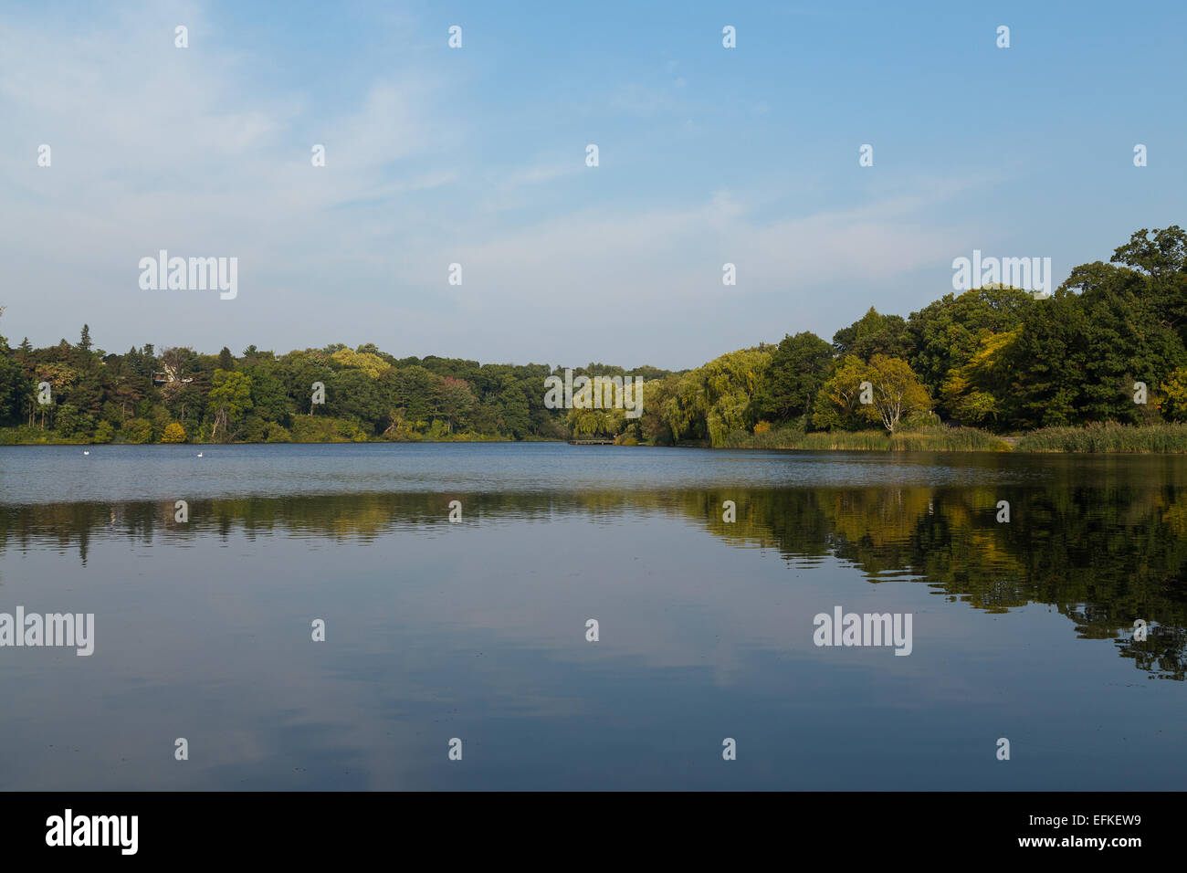 Un bellissimo lago in estate con verdi alberi, riflessioni e spazio di copia Foto Stock