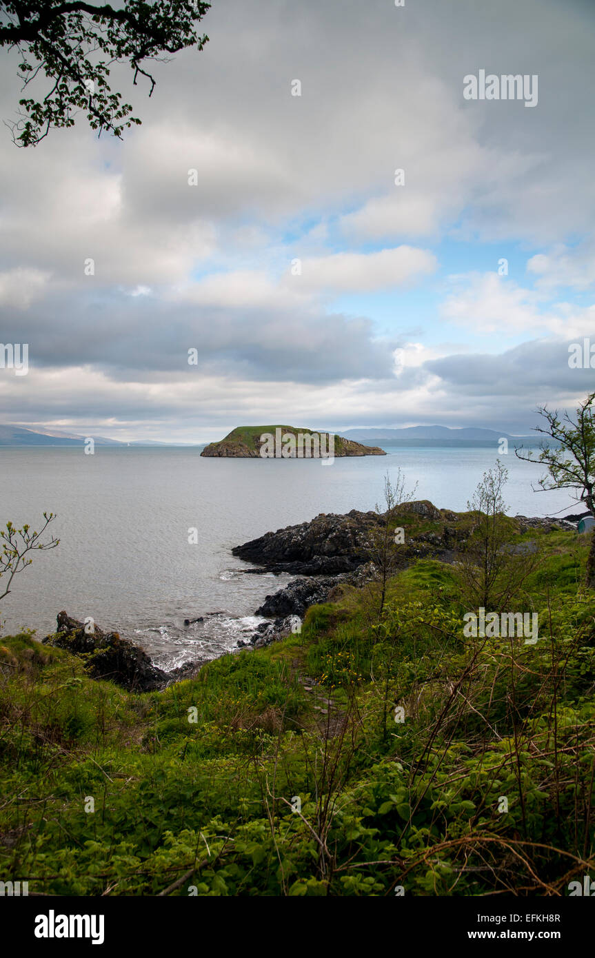 Una vista di Maiden isola appena fuori del porto di Oban, Argyll, Scozia. Maggio. Foto Stock