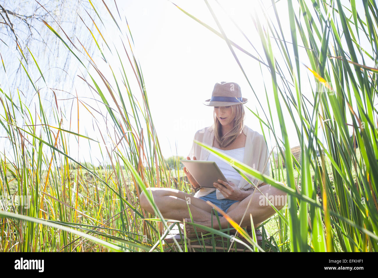 Metà donna adulta seduta in erba lunga, con tavoletta digitale Foto Stock Metà donna adulta seduta in erba lunga, con tavoletta digitale Foto Stock