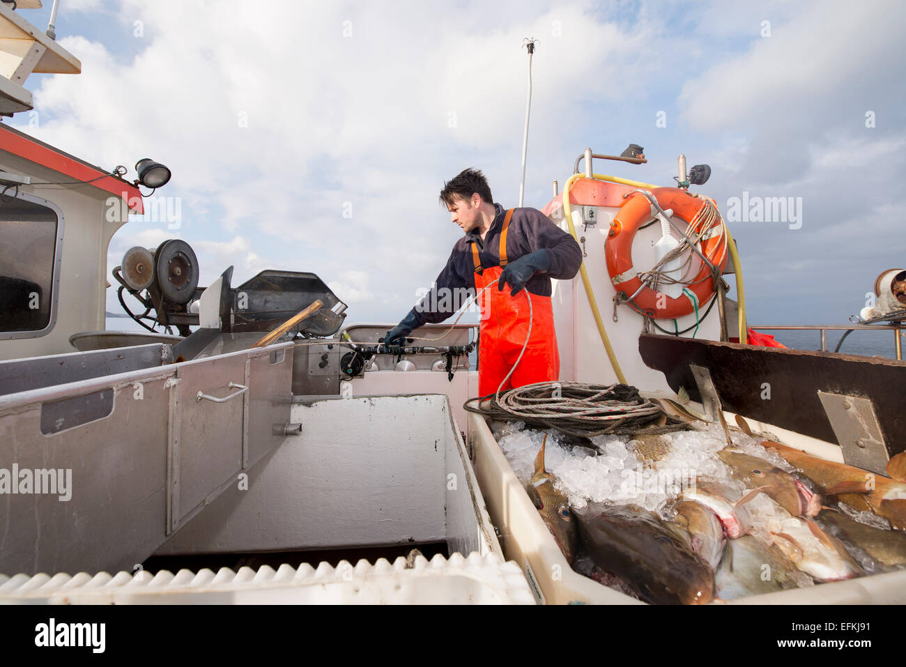 Fisherman puilling fino la lenza in barca da pesca Foto Stock