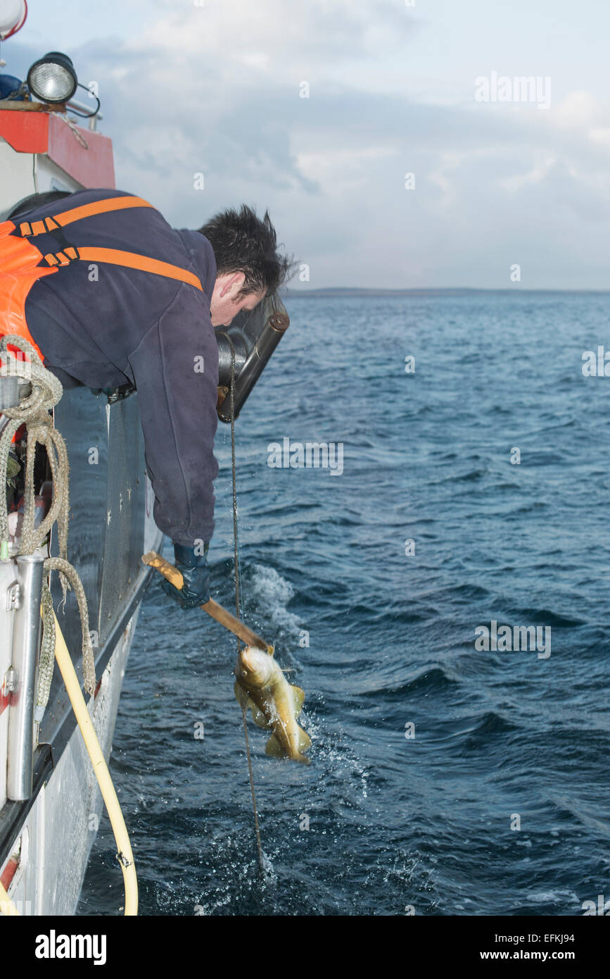 Fisherman tirando il pesce sulla barca da pesca Foto Stock