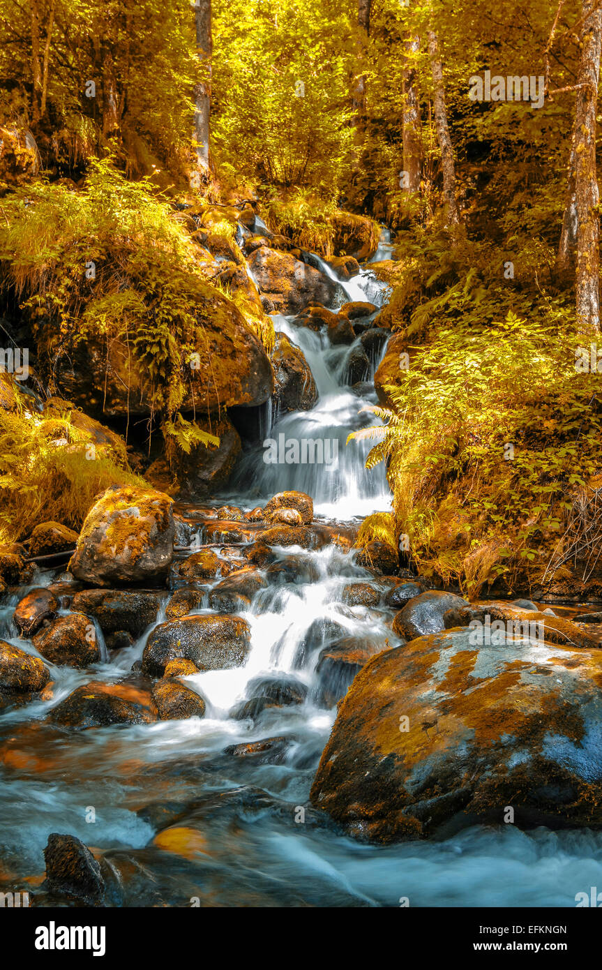 Torent du gerul avec des couleurs d'automne Le Ruisseau de Gérul est affluente dell Onu de la Rivière l'Ariège vallee Dax Francia Foto Stock