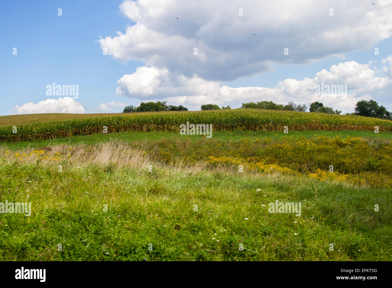 Le colline di campagna Foto Stock