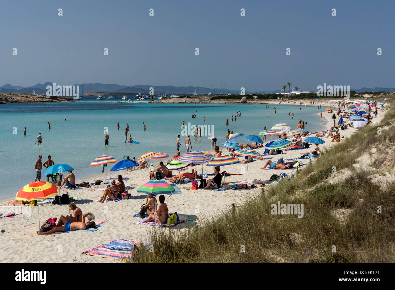 Playa de Ses Illetes, spiaggia, Formentera, isole Baleari, Spagna Foto Stock