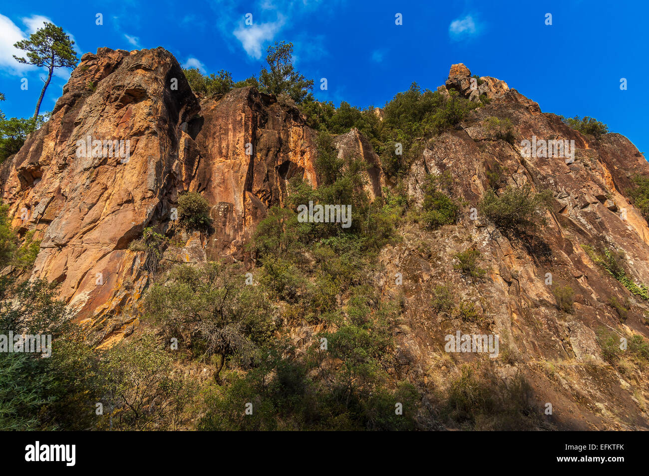 Gorges de Pennafort, Callas Draguignan, Var Francia 83 Foto Stock