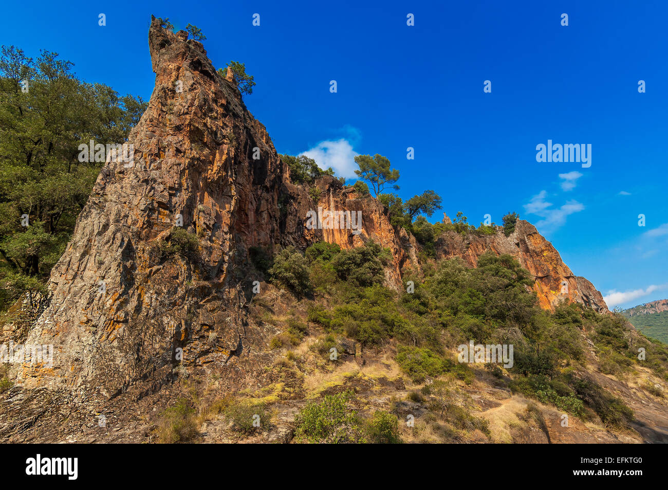 Gorges de Pennafort, Callas Draguignan, Var Francia 83 Foto Stock