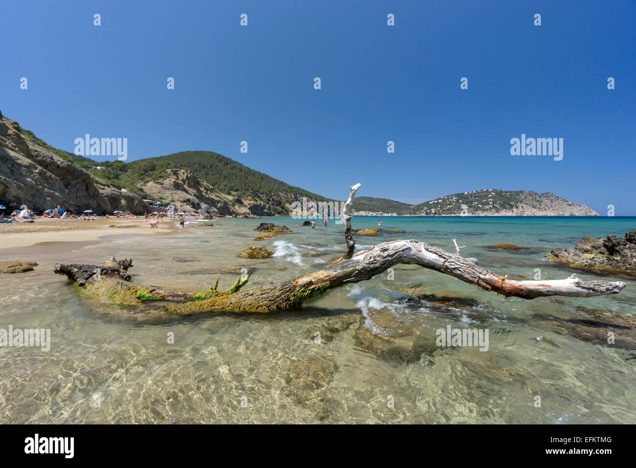 Agua Spiaggia Blanca, Ibiza, Spagna, isole Baleraric Foto Stock