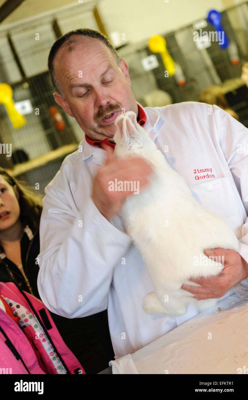 Un uomo tiene un coniglio bianco per mostrare ai bambini. Foto Stock