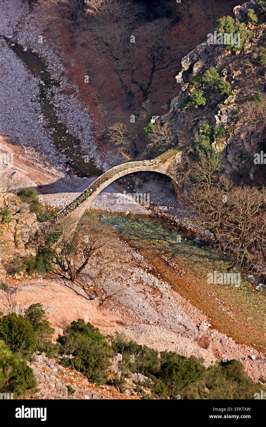 La pietra ponte arcuato di Trizolo (Karya), West Argithea, Agrafa montagne, Karditsa, Tessaglia, Grecia. Foto Stock