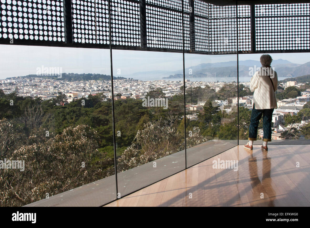 Guardando fuori il Museo de Young's tower windows su San Francisco. Foto Stock