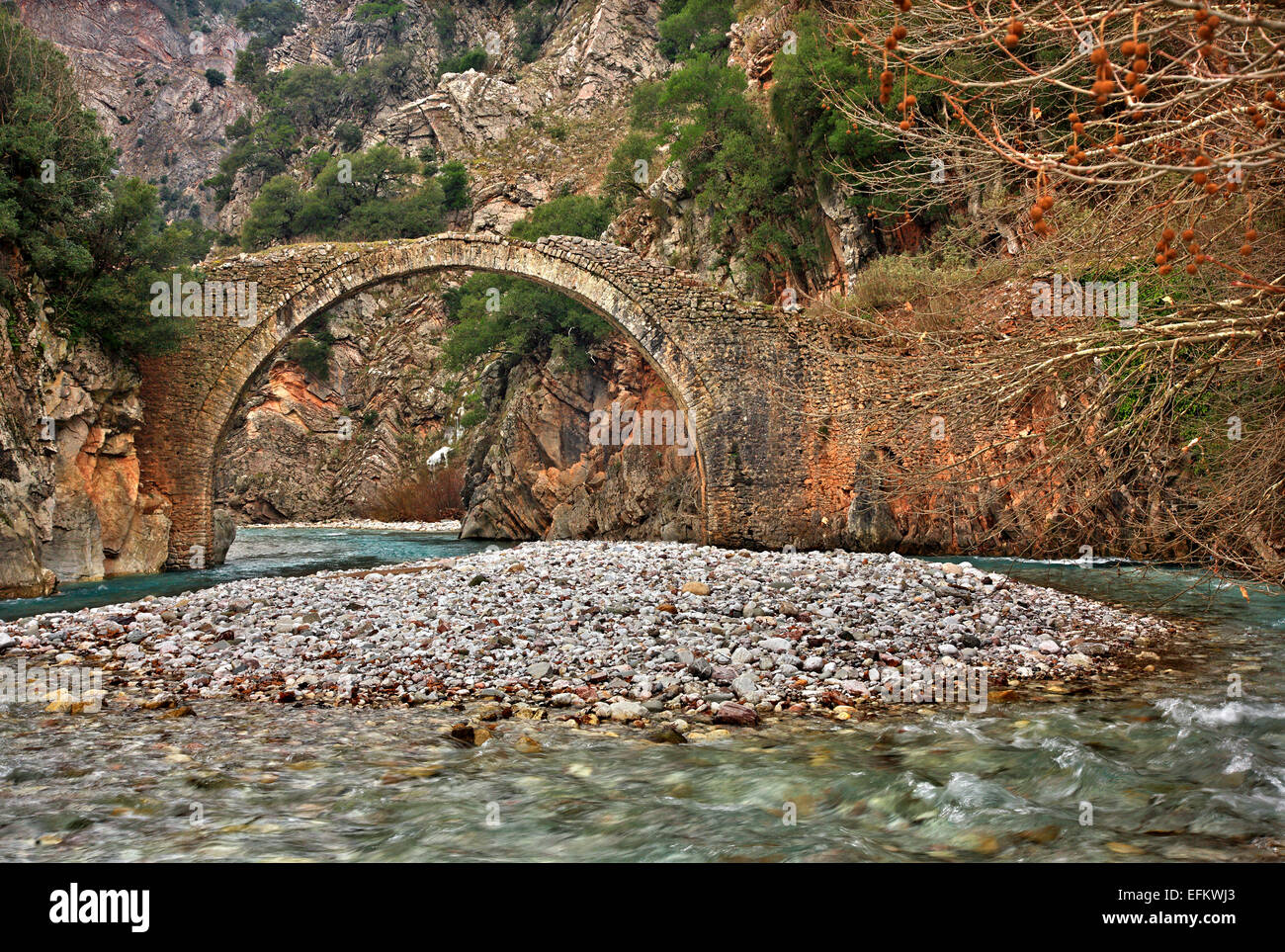 La pietra ponte arcuato di Petroto, West Argithea, Agrafa montagne, Karditsa, Tessaglia, Grecia. Foto Stock