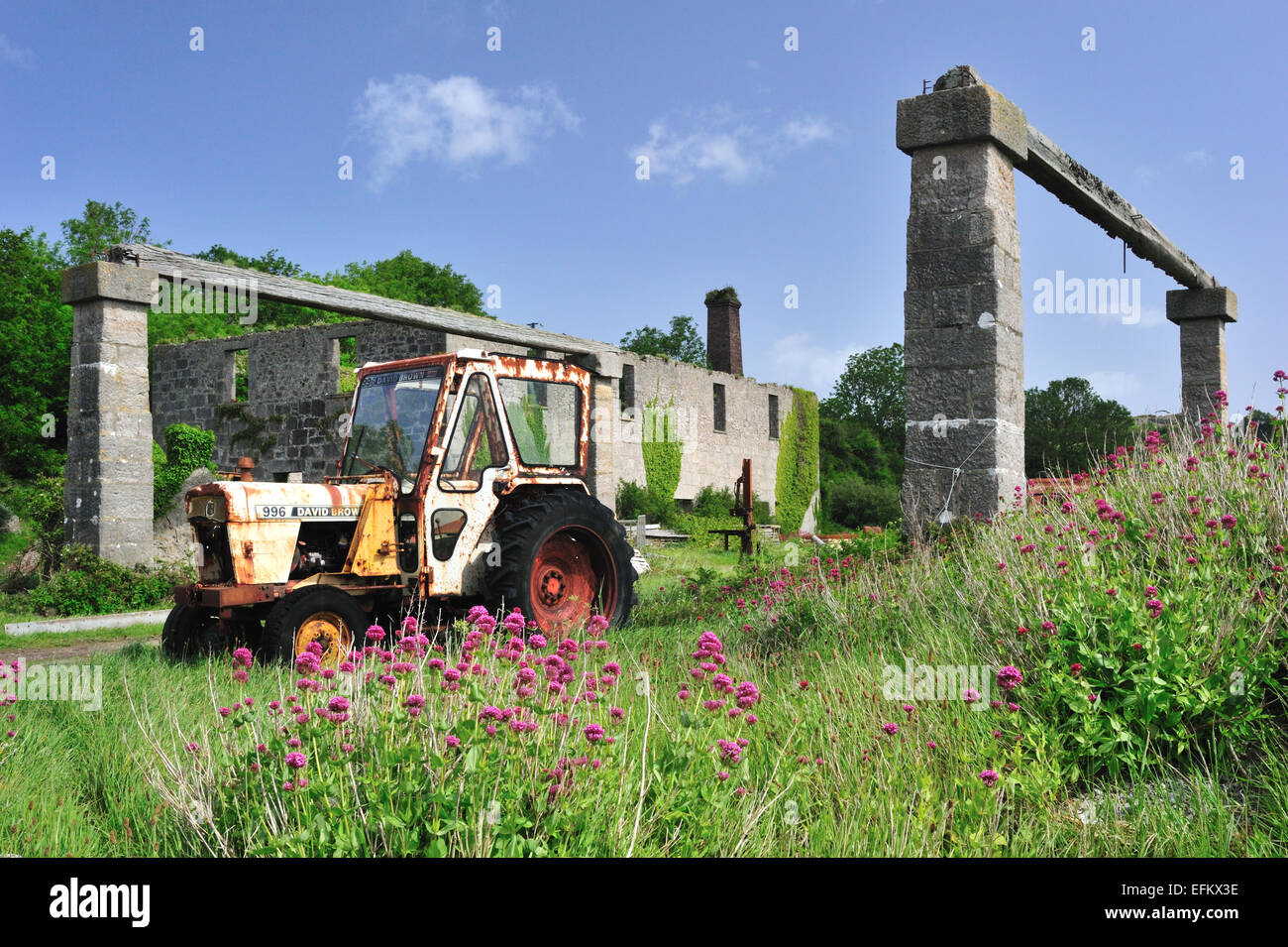 Archeologia industriale su Anglesey sentiero costiero / Anglesey / Galles / Regno Unito Foto Stock