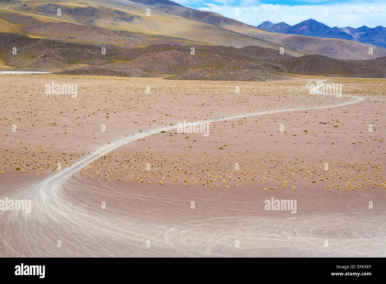 Tracce di pneumatici nelle pianure alto Deserto vicino a Uyuni, Bolivia Foto Stock