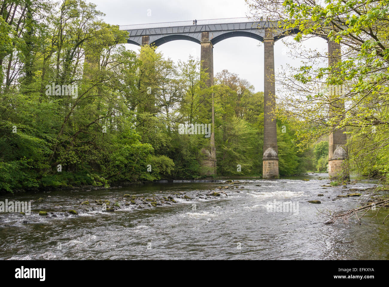Acquedotto Pontcysyllte la più lunga e la più alta in Gran Bretagna porta il Llangollen Canal oltre il fiume dee Foto Stock