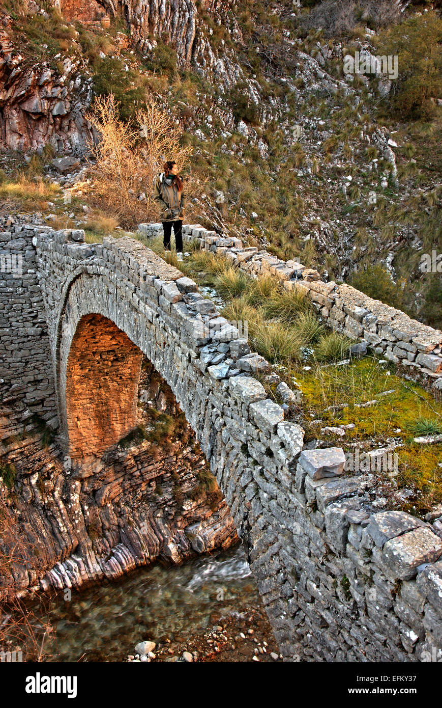 La pietra ponte arcuato di Drosato, Est Argithea, Agrafa montagne, Karditsa, Tessaglia, Grecia. Foto Stock