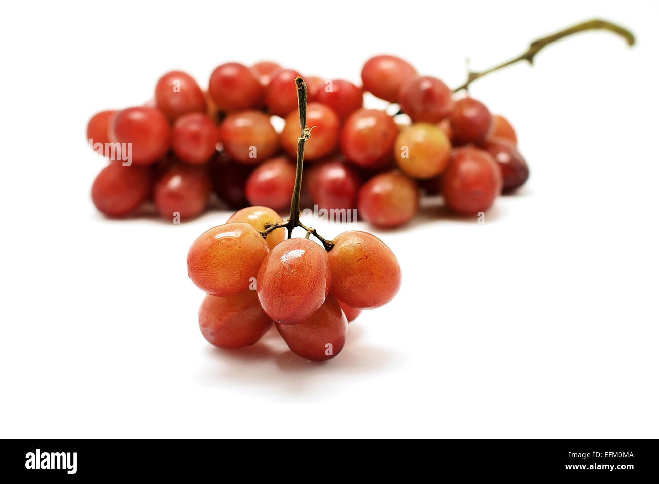 Mosti di uve fresche frutto isolato su sfondo bianco Foto Stock